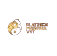 Platzeck Fisiatria - Presidente Prudente