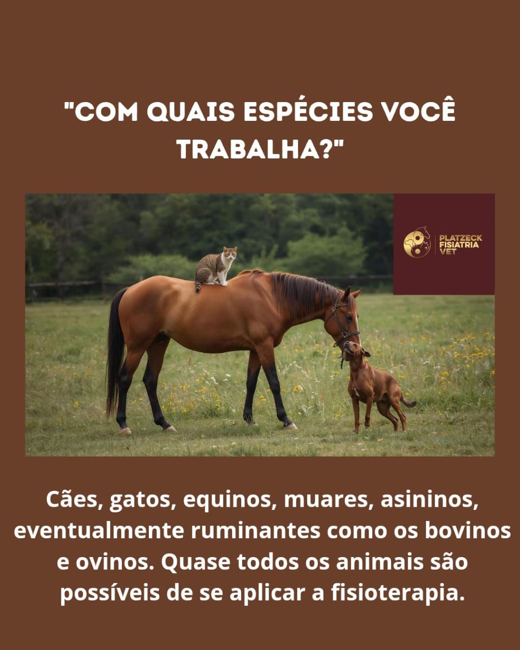 Platzeck Fisiatria - Presidente Prudente