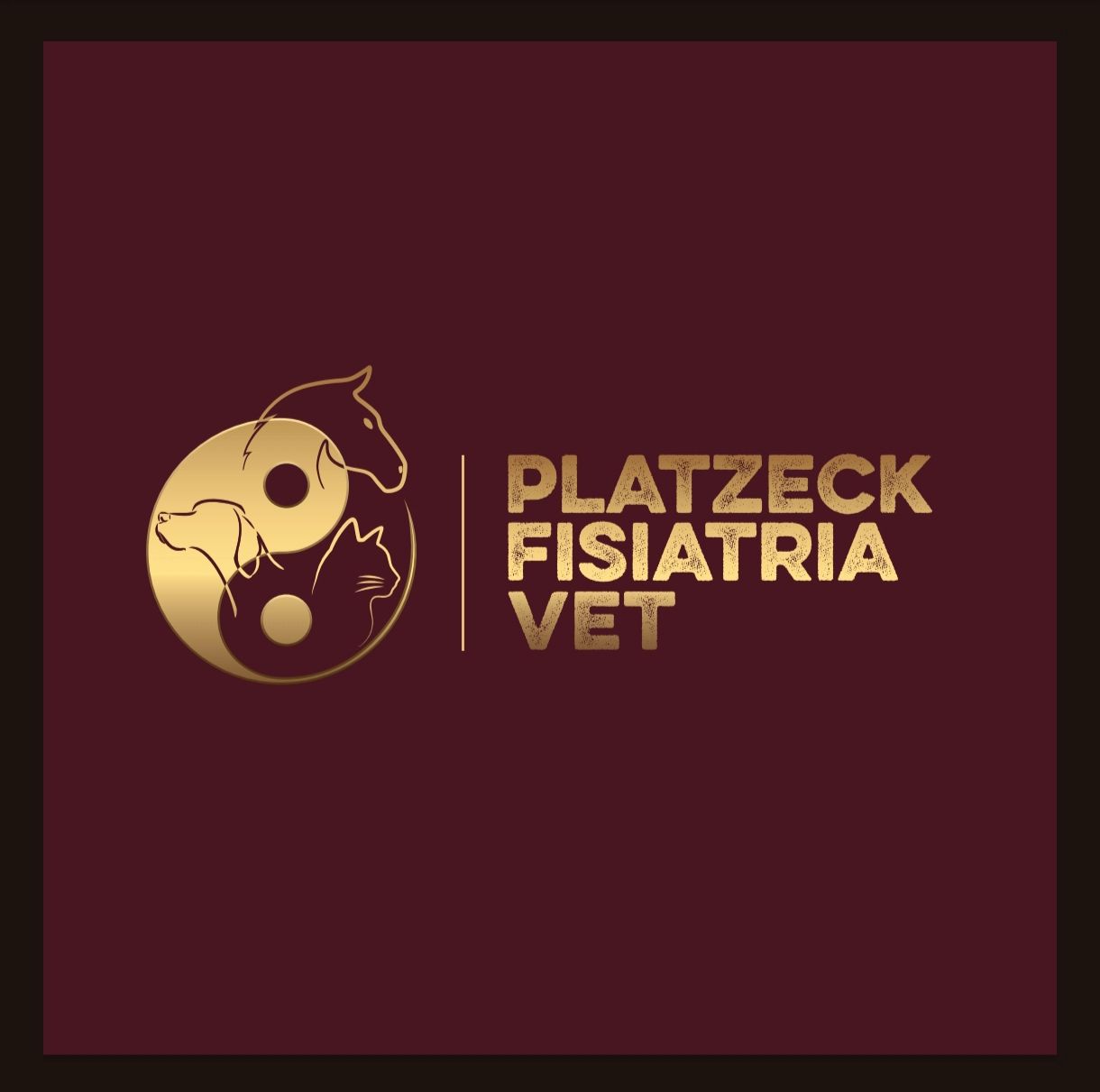Platzeck Fisiatria - Presidente Prudente
